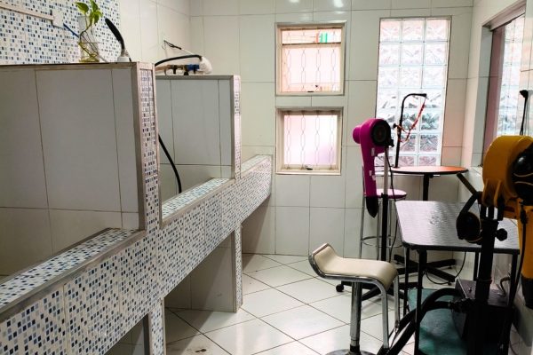 Espaço de banho e tosa da clínica