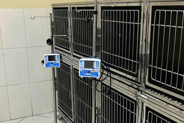 Sala de internação veterinária