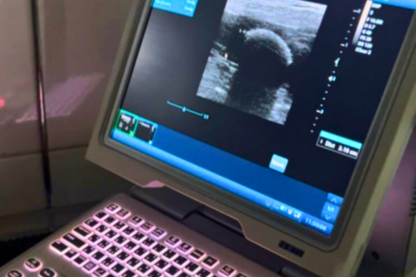 Equipamento de ultrassonografia veterinária
